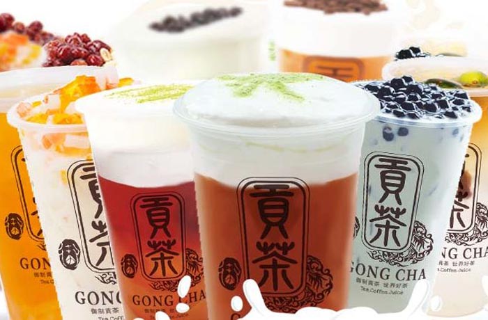 泾县贡茶培训